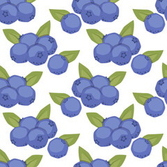 Vector seamless pattern with blueberry on white background