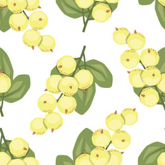 Vector seamless pattern with white currant on white background