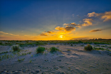 Amrum