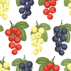 Vector seamless pattern with currant on white background
