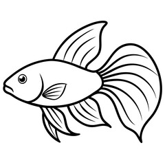 fish on a white background