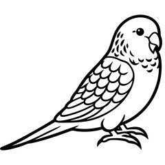 bird on a branch