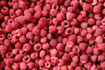 Sweet raspberry background. Full frame of fresh raspberries. Red ripe berry photo wallpaper closeup. Juicy berries. Vegetarian, vegan raw food. Organic bio product. From farm to table. Fruit pattern