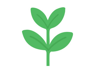 Green leafy plant with leaves isolated on white background, graphic illustration. concept of seedling, nature, botany, plant icon, eco-friendly design, herbal element, sapling