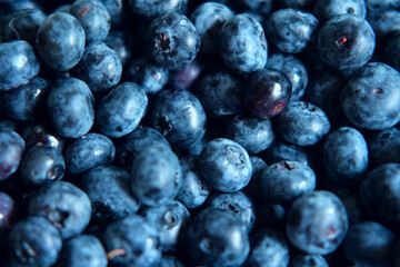 Fresh Blueberries Background. Piled Blueberry Spinning Backdrop. Sweetest Delight. Vibrant closeup of plump ripe blue berries are healthy recipes, snacks. Full frame. Ideal for food, health, nature