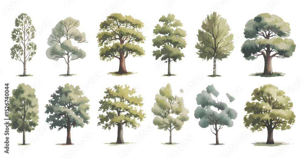 Poster collection of twelve different trees with green foliage in a watercolor style isolated on a white ba