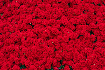 artificial red rose background ,natural texture