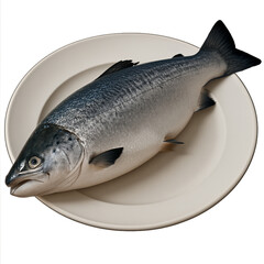fresh fish on a plate, salmon on a plate isolated on white.