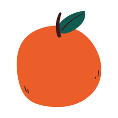 hand drawing cartoon orange fruit. cute drawing for doodle, sticker