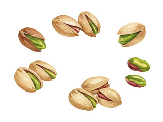 Vector watercolor pistachio / 水彩テイストのピスタチオイラスト