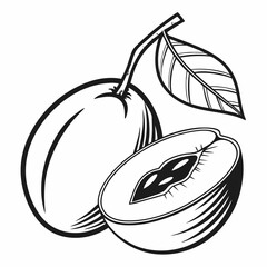 vector illustration of a ambarella