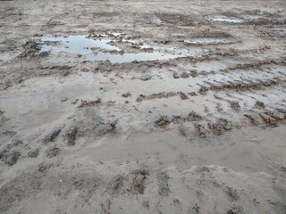 Muddy ground with water puddles and tracks