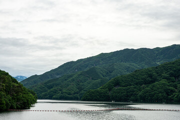 Obraz premium 群馬県みどり市の草木ダムと草木湖・新緑が映える春の絶景、渡良瀬川流域の美しい自然景観・観光や旅行に最適な癒しスポット