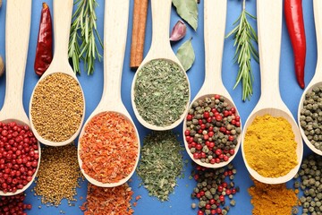 Different aromatic spices in spoons on blue background, flat lay