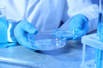 Scientist with Petri dishes at table, closeup