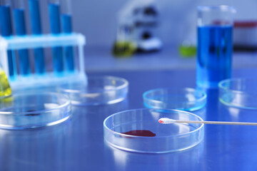 Petri dishes with samples on table, closeup