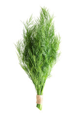 Fresh Dill Bunch Isolated on White Background