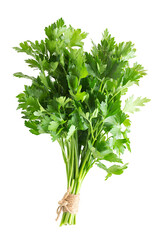 Fresh Parsley Bunch Isolated on White Background
