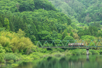 Fototapeta premium 群馬県みどり市を走るわたらせ渓谷鉄道の列車と緑豊かな山々に囲まれた鉄橋の風景。草木湖周辺の自然に溶け込むような風景と鉄道旅情が感じられる、日本の初夏を彩る絶景。