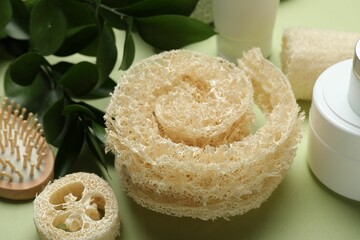 Natural loofah sponges, cosmetic products, brush and leaves on green background, closeup