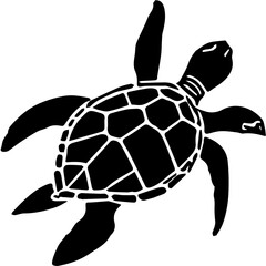 turtle on a white background