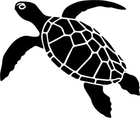turtle vector illustration