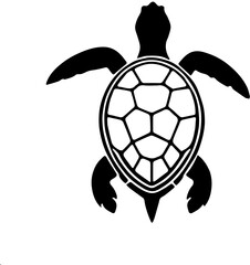 Obraz premium turtle vector illustration