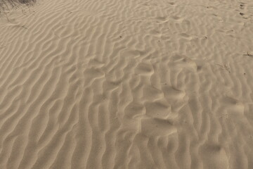 footprints in the sand