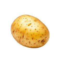 Harvesting fresh potatoes farm field food photography rural environment close-up view natural produce