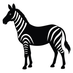 Obraz premium Black and white zebra silhouette african animal