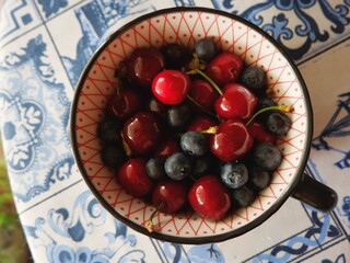 A colorful bowl filled with fresh cherries and blueberries sits on a patterned tablecloth