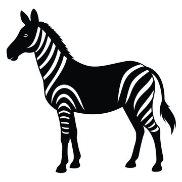 Black and white zebra silhouette african animal