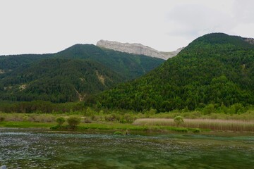 Lush green mountains rise majestically above a tranquil water body surrounded by trees and reeds