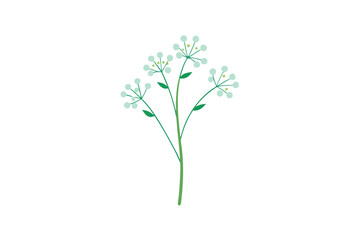 Dainty Baby Breath Delicate Floral Accent for Graceful Arrangements vector art illustration