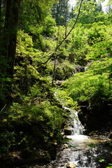 Obraz premium Kleiner Wasserfall