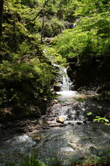 Obraz premium Kleiner Wasserfall