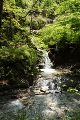 Obraz premium Kleiner Wasserfall