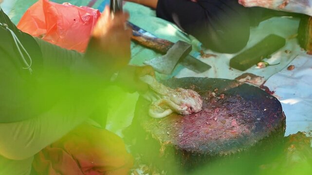 Women are cutting a pile of goat meat on a wooden tray with a knife during the Eid al-Adha celebration.  The butcher cuts raw goat meat with a knife. Ied al adha concept.