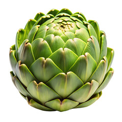 Fototapeta premium Artichoke Whole Fresh Vegetable Isolated on Transparent Background