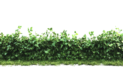 Vibrant Green Hedge Lush Foliage Border  Perfect for Design Projects isolated on transparent background