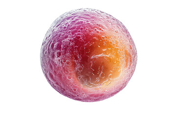 Fototapeta premium Microscopic image of a single cell, possibly an ovum or a somatic cell, exhibiting a textured surface and internal structures. background removed