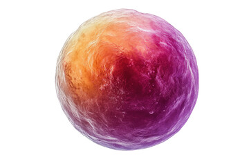 Fototapeta premium Scanning electron micrograph of a single human ovum, highlighting its textured surface. background removed