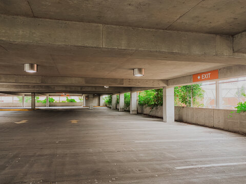 Concrete parking garage interior with EXIT sign and green vines growing through metal grid windows, nature meets urban architecture, gritty industrial texture, empty space, modern brutalism
