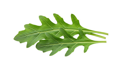 Fresh arugula leaves isolated on a white background, isolated, no background