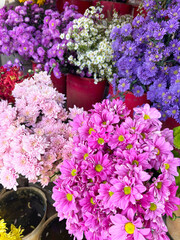 Bright and Vibrant Flowers in Full Bloom