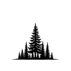 Obraz premium Forest Silhouette: Capturing the timeless beauty of a serene forest, this silhouette artfully depicts evergreen trees standing tall in harmony.