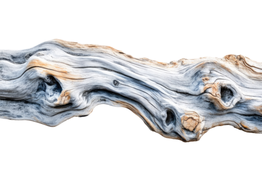 A weathered, gray and beige driftwood piece with holes and curves, isolated on a transparent background. background removed