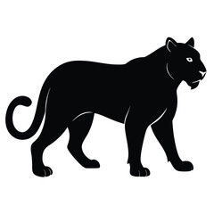 Obraz premium Majestic black panther silhouette wild cat animal