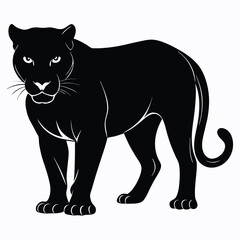 Majestic black panther silhouette wild cat animal