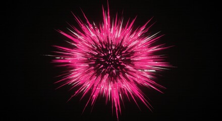 Obraz premium Vibrant pink explosion radiating from the center against a dark background, creating a dynamic visual effect